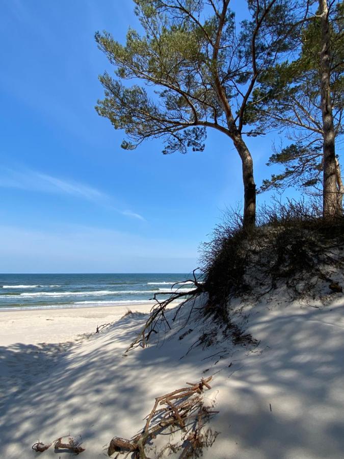 Surf Apartament I กชึชโบโว ภายนอก รูปภาพ